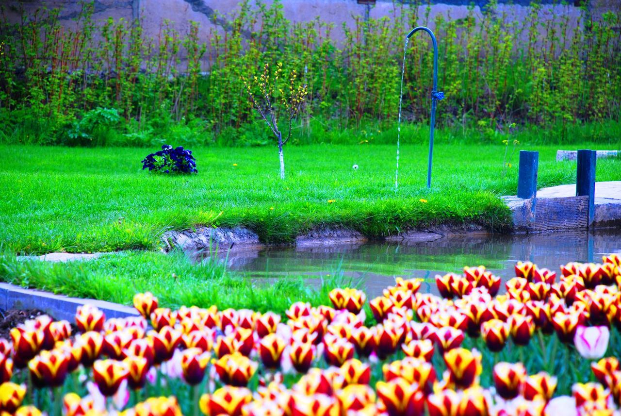 Resort Mja Ashotavan Buitenkant foto